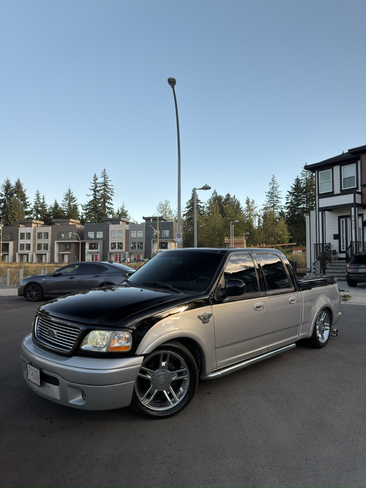 Ford F-150 Harley-Davidson detailing
