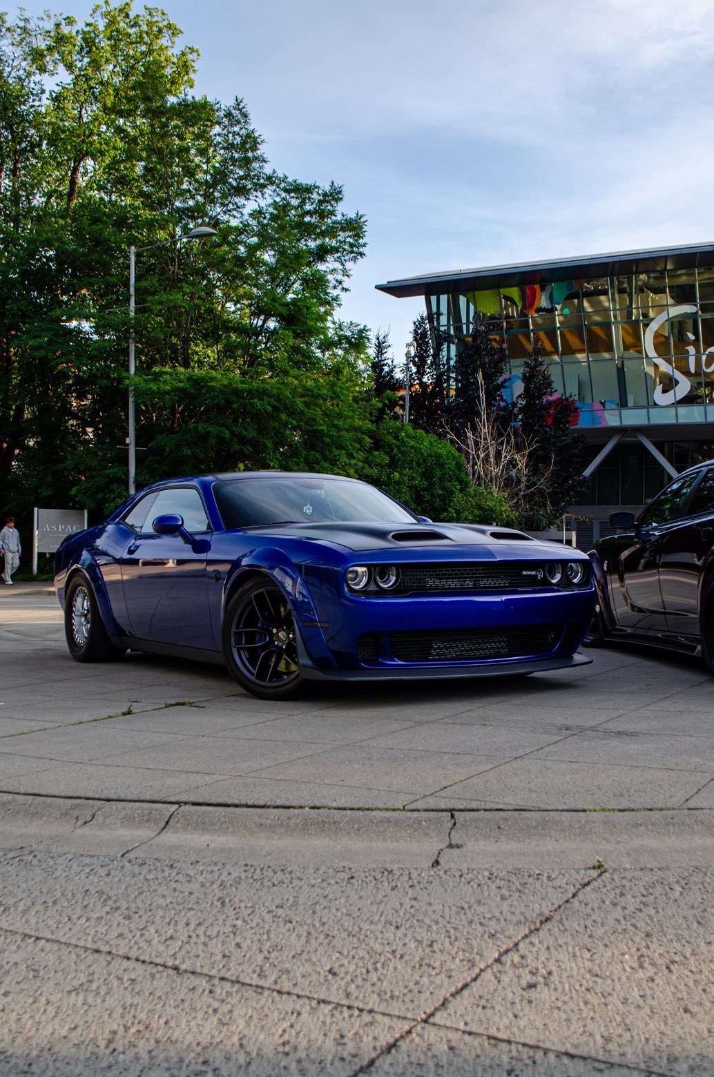 Dodge Challenger SRT Hellcat detailing