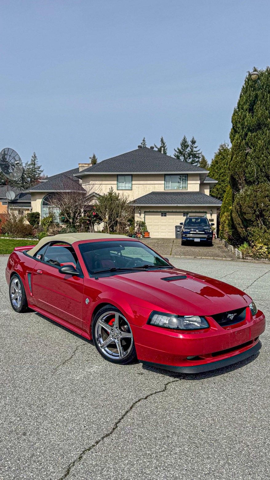 Ford Mustang convertible detailing