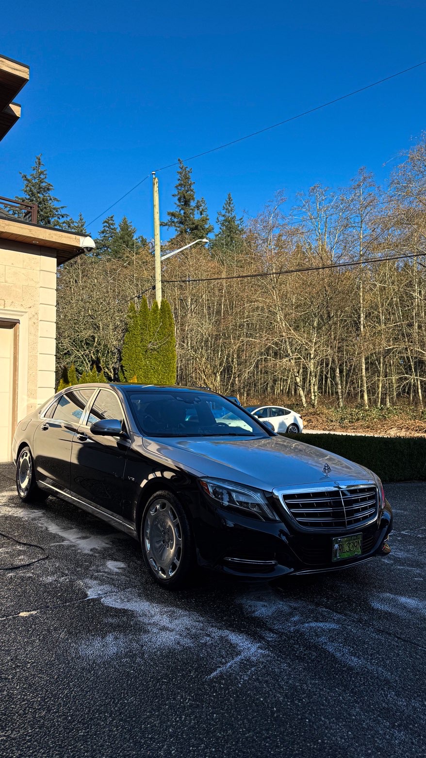 Mercedes-Maybach S-Class detailing